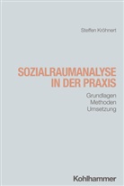 Steffen Kröhnert - Sozialraumanalyse in der Praxis