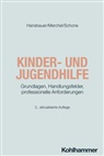 Peter Hansbauer, Joachim Merchel, Reinhold Schone, Rudolf Bieker - Kinder- und Jugendhilfe