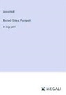 Jennie Hall - Buried Cities; Pompeii