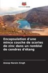 Anoop Narain Singh - Encapsulation d'une mince couche de scories de zinc dans un remblai de cendres d'étang