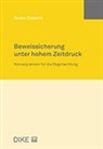 Guy Lanfranconi, Martin Lory, Markus Lüthi, Ernst Moor, Gabor Piskoty, Janic Schwizgebel... - Beweissicherung unter hohem Zeitdruck