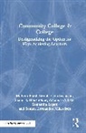Samantha Amos, M. Beth Borst, Mary Borst, Brenda Geib-Swanson, Sonina Hernández, Sonina Hernández Mikkelsen... - Community College is College