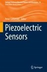Peter Lieberzeit - Piezoelectric Sensors