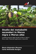 Carla Antonella Burgos, María Alejandra Moyano - Studio dei metaboliti secondari in Morus nigra e Morus alba