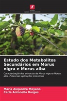 Carla Antonella Burgos, María Alejandra Moyano - Estudo dos Metabolitos Secundários em Morus nigra e Morus alba