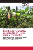 Carla Antonella Burgos, María Alejandra Moyano - Estudio de Metabolitos secundarios en Morus nigra y Morus alba