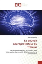 Salwa Bouabdallah - Le pouvoir neuroprotecteur du Tribulus