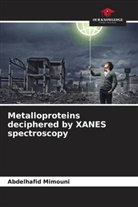 Abdelhafid Mimouni - Metalloproteins deciphered by XANES spectroscopy