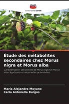 Carla Antonella Burgos, María Alejandra Moyano - Étude des métabolites secondaires chez Morus nigra et Morus alba