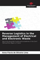 Anna Flavia de Oliveira Lima - Reverse Logistics in the Management of Electrical and Electronic Waste