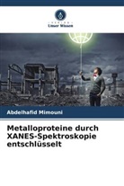 Abdelhafid Mimouni - Metalloproteine durch XANES-Spektroskopie entschlüsselt