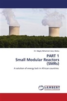 Dr. Magdy Mohamed Niazy Abdou, Magdy Mohamed Niazy Abdou - PART 1 Small Modular Reactors (SMRs)