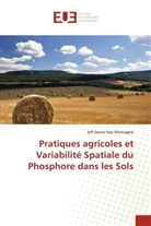 Jeff Daniel Nze Memiaghe - Pratiques agricoles et Variabilité Spatiale du Phosphore dans les Sols