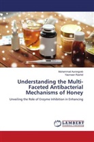 Muhammad Aurongzeb, Yasmeen Rashid - Understanding the Multi-Faceted Antibacterial Mechanisms of Honey
