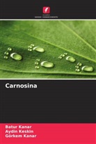 Batur Kanar, Görkem Kanar, Aydin Keskin - Carnosina