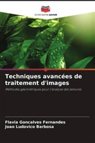 João Ludovico Barbosa, Flávia Gonçalves Fernandes - Techniques avancées de traitement d'images