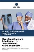 Joseph K Amoako, Joseph K. Amoako, Getrude Chinangwa Gangata, Fletch, J. J. Fletcher, J.J. Fletcher - Strahlenschutz am Arbeitsplatz in malawischen Krankenhäusern
