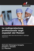 Joseph K. Amoako, Getrude Chinangwa Gangata, J. J. Fletcher, J.J. Fletcher - La radioprotezione professionale negli ospedali del Malawi