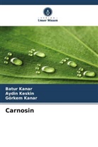 Batur Kanar, Görkem Kanar, Aydin Keskin - Carnosin