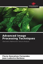 João Ludovico Barbosa, Flávia Gonçalves Fernandes - Advanced Image Processing Techniques
