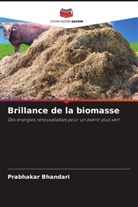 Prabhakar Bhandari - Brillance de la biomasse