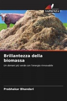 Prabhakar Bhandari - Brillantezza della biomassa