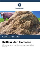 Prabhakar Bhandari - Brillanz der Biomasse