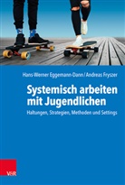 Hans-Werner Eggemann-Dann, Frysze, Andreas Fryszer, Antje Heigl - Systemisch arbeiten mit Jugendlichen