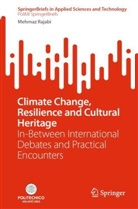 Mehrnaz Rajabi - Climate Change, Resilience and Cultural Heritage