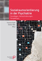 Yvonne Kahl, Dieter Röh - Sozialraumorientierung in der Psychiatrie