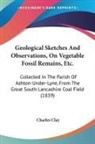 Charles Clay - Geological Sketches And Observations, On Vegetable Fossil Remains, Etc