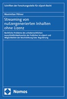 Maximilian Pöhner - Streaming von nutzergenerierten Inhalten ohne Lizenz