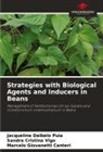 Sandra Cristina Vigo, Jacqueline Dalbelo Puia, Marcelo Giovanetti Canteri - Strategies with Biological Agents and Inducers in Beans