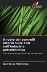 Jean Bosco Ndayisenga - Il ruolo dei controlli interni sulla CSR nell'industria petrolchimica