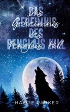 Haylie Parker - Das Geheimnis des Penglais Hill