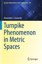 Alexander J Zaslavski, Alexander J. Zaslavski - Turnpike Phenomenon in Metric Spaces