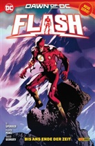 Tom Derenick, Tom u a Derenick, Vasco Georgiev, George Kambadais, Scott Koblish, Amancay Nahuelpan... - Flash