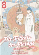 Toshiya Higashimoto - Die Früchte der Platane - Ein Kinderarzt mit Herz 08