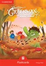 Marilyn Miller, Miller Marilyn - Greenman and the Magic Forest B Flashcards (Pack of 48)