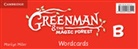 Marilyn Miller, Miller Marilyn - Greenman and the Magic Forest B Wordcards (Pack of 48)