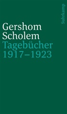 Gershom Scholem, Karlfried Gründer, Herbert Kopp-Oberstebrink, Friedrich Niewöhner - Tagebücher nebst Aufsätzen und Entwürfen bis 1923