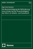 Birgit Große Stetzkamp - Die Berücksichtigung der Behinderung eines Kindes bei der Erwerbstätigkeit der Eltern im Arbeits- und Sozialrecht