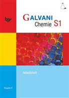 Birger Pistohl, Kerstin Bredl, Britta Frese, Christine Kreß, Frank Orlik, Britta Frese... - Galvani - Chemie für Gymnasien - Ausgabe B - Für sprachliche, musische, wirtschafts- und sozialwissenschaftliche Gymnasien in Bayern - Bisherige Ausgabe - Band S1: 9. Jahrgangsstufe