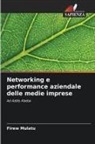 Firew Mulatu - Networking e performance aziendale delle medie imprese