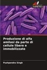 Pushpendra Singh - Produzione di alfa amilasi da parte di cellule libere e immobilizzate