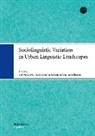 Carla Bagna, Martina Bellinzona, Sofie Henricson, Väinö Syrjälä - Sociolinguistic Variation in Urban Linguistic Landscapes