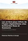 Peterson Martins A Araujo - Les arrière-pays infinis de l'hyper-régionalisme chez Guimarães Rosa et Suassuna