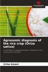 Cirilus Kenest - Agronomic diagnosis of the rice crop (Oriza sativa)