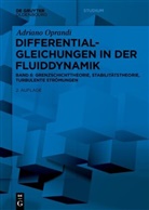 Adriano Oprandi - Differentialgleichungen in der Fluiddynamik