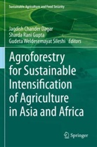 Jagdish Chander Dagar, Sharda Rani Gupta, Gudeta Weldesemayat Sileshi - Agroforestry for Sustainable Intensification of Agriculture in Asia and Africa